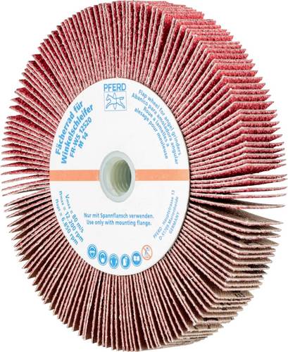 PFERD TOOLS 44782606 Fächerrad Durchmesser 125mm 2St.