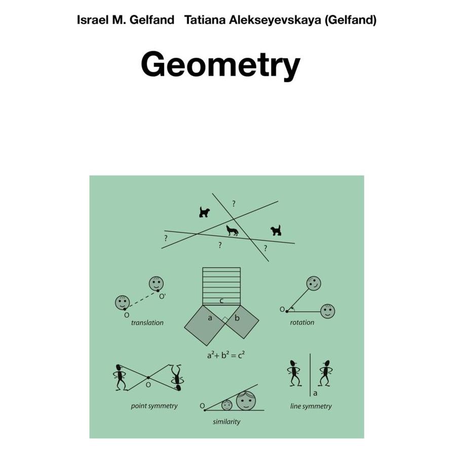 Springer Geometry (Englisch) (45784231)
