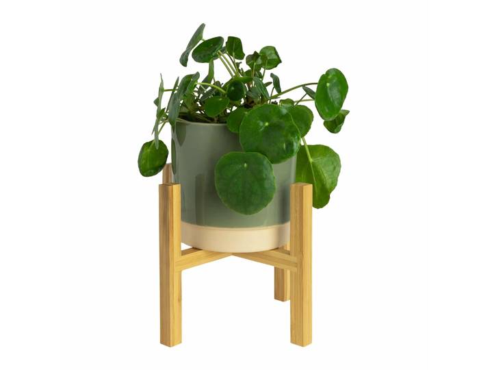 QUVIO Bloempot standaard - Bamboe - Binnenmaat 16 cm