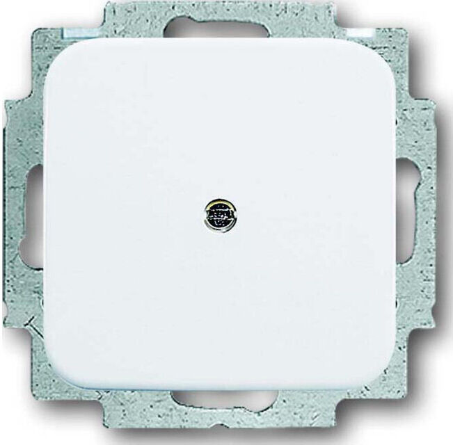 Busch-Jaeger Plaque aveugle centrale aws avec bague de support 2538-214 (2CKA001715A0275)