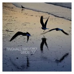 Skip Records, Schallplatten, Birds (180 Gr. Black Vinyl) (Tingvall Trio)