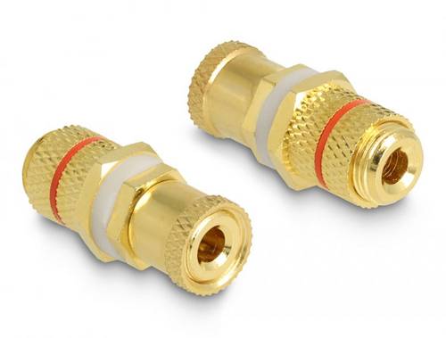 Delock 64145 64145 Audio Adapter [1x Polklemme - 1x Polklemme] Gold