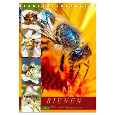 BIENEN - Kleine Nützlinge ganz nah (Tischkalender 2027 DIN A5 hoch), CALVENDO Monatskalender
