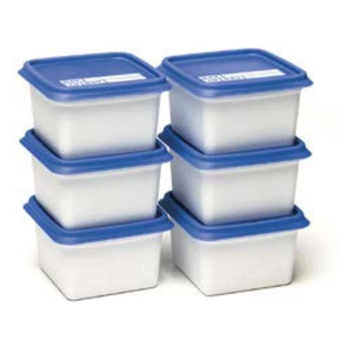Day To Day Gefrierbox-Set 6x200ml Alaska (0.20 l) (DAY001)