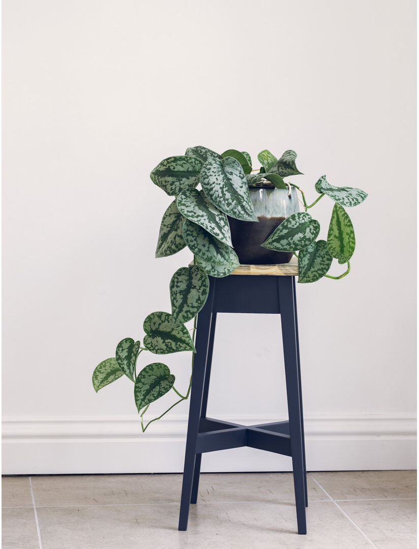 Ophelia & Co. Decatur Solid Wood Pine Plant Stand 2 Tier Navy Blue H50 x L24 x D24cm