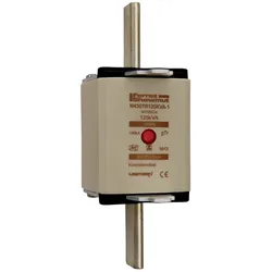 Mersen NH-Sicherungseinsatz SG NH3GTR125KVA-1