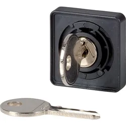 Eaton 046994 Frontelement für TM-Schalter, Zentraleinbau, Schlüsselbetätigung, RONIS-Nr. D EZ/S-D-TM