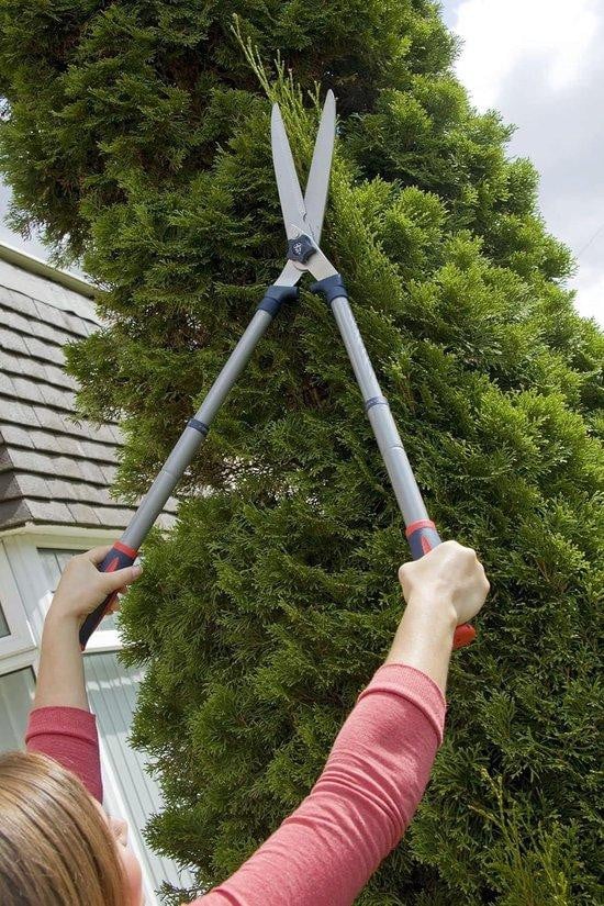 Telescopische snoeischaar met lange steel en zilveren afwerking