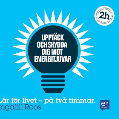 Upptäck och skydda dig mot energitjuvar : På en timme - Ingalill Roos, Audio, 9789174830620