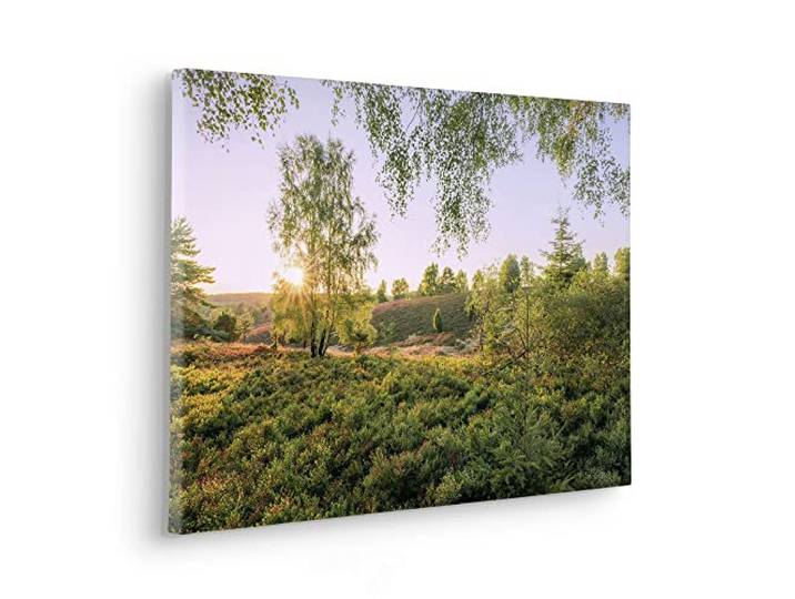Komar Tableau sur châssis en bois véritable - Soirée d'été - Dimensions : 60 x 40 cm - Impression sur toile - Paysage - Pour salon\, chambre à coucher