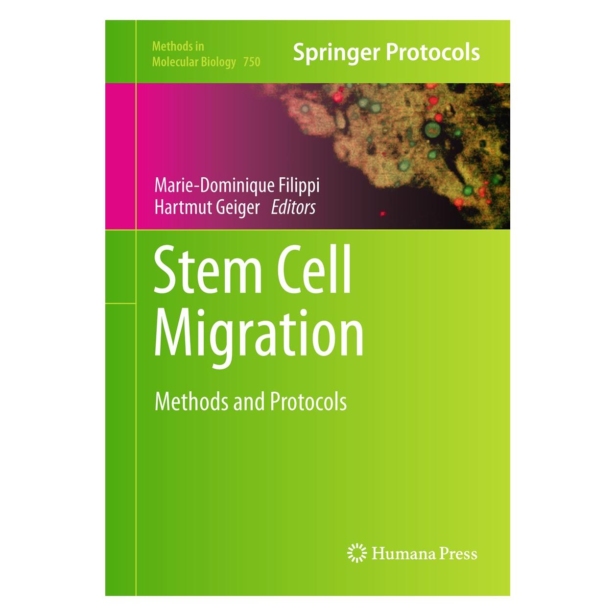 Humana Press Stem Cell Migration (Englisch, Hardcover, Hartmut Geiger, Marie-Dominique Filippi) (9781617791444)