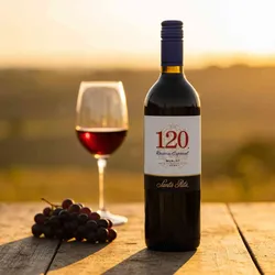 Vina Santa Rita 2022 Santa Rita 120 Merlot Reserva Especial 2022 Merlot Chile