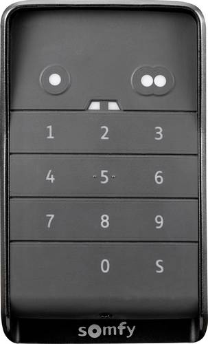 Somfy 1870929 Keypad 2 io IP55 868.3MHz, 868.95MHz Wand