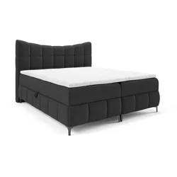 BOXBETT Charles In Aragon