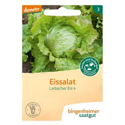 Eissalat - Laibacher Eis