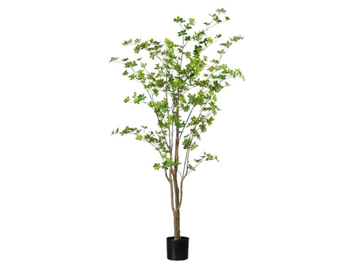 Kunstpflanze Louisiana-Baum im Kunststofftopf, Grün H: 180 cm Gasper