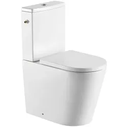 SAT Brevis WC-Kombination komplett SATBRE031RTORVP