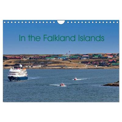 In the Falkland Islands (Wall Calendar 2027 DIN A4 landscape), CALVENDO 12 Month Wall Calendar