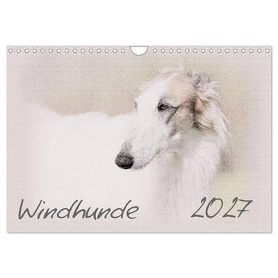 Windhunde 2027 (Wandkalender 2027 DIN A4 quer), CALVENDO Monatskalender