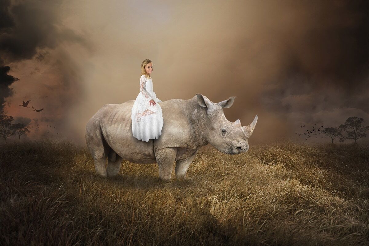 Fototapete PAPERMOON "Surreales Mädchen, das Nashorn reitet", bunt, B:2m L:1,5m, Vlies, Tapeten, Fototapete bunt B/L: 2m x 1,5m, Rollen: 1