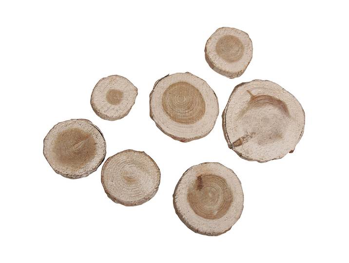 Rayher Pinien-Scheiben Rund 3-5 cm 100 g
