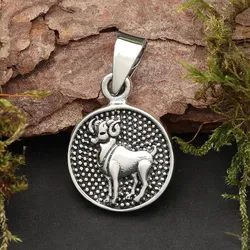 Drachensilber Widder Schmuck Astrologie Sternzeichen 925 Silber Anhänger Schmuck - Silber