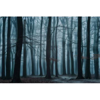 Fototapete PAPERMOON "Photo-Art ELLEN BORGGREVE, WIR ALLE", bunt, B:4,5m L:2,8m, Vlies, Tapeten