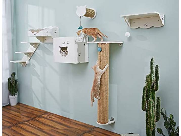CatS Design Katzen Kletterwand Set XXL große Katzen stabil-Wandkratzbaum-Wandliege-Wandbett-Kletterstufen-Wandhöhle-Wand Kratzsäule-Wandelemente-6 Teilig Holz Wandpark T4