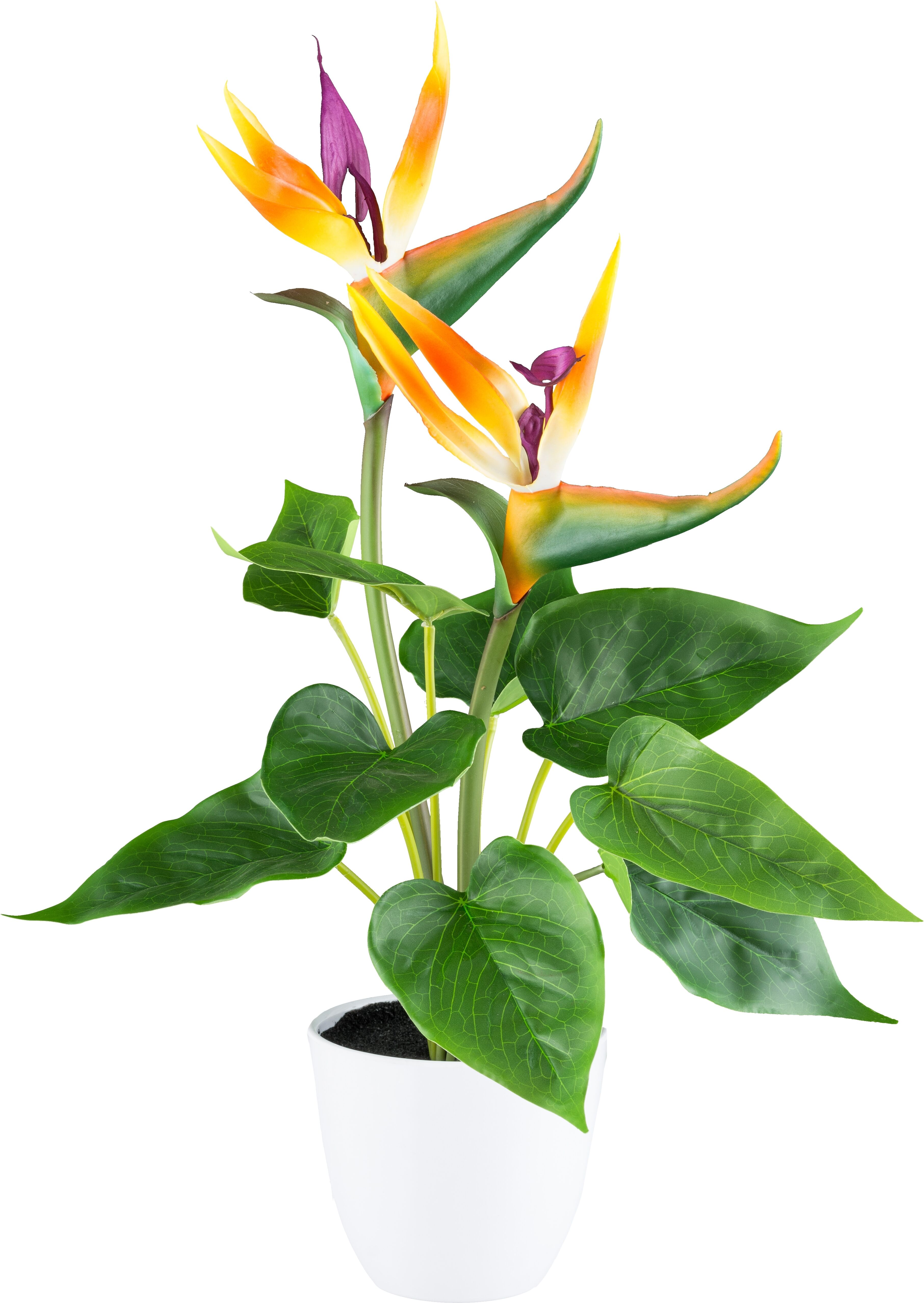Kunstpflanze CREATIV GREEN "Strelitzia", orange, H:42cm, Kunststoff, Kunstpflanzen, Kunstpflanze, mit 2 Blüten