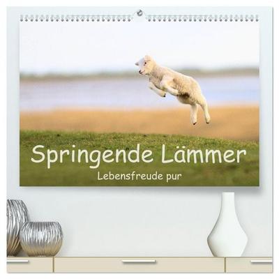 Springende Lämmer: Lebensfreude pur (hochwertiger Premium Wandkalender 2026 DIN A2 quer), Kunstdruck in Hochglanz