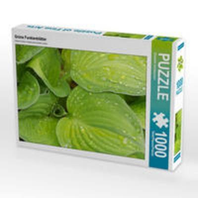 CALVENDO Puzzle Grüne Funkienblätter | 1000 Teile Lege-Größe 64x48cm Foto-Puzzle für glückliche Stunden
