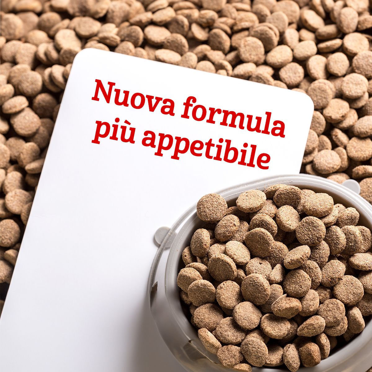 Expecial Dog Adult Sensible Agnello e Riso 12.5KG