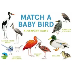 Laurence King Match a Baby Bird (Englisch, 2 - 6 Spieler)