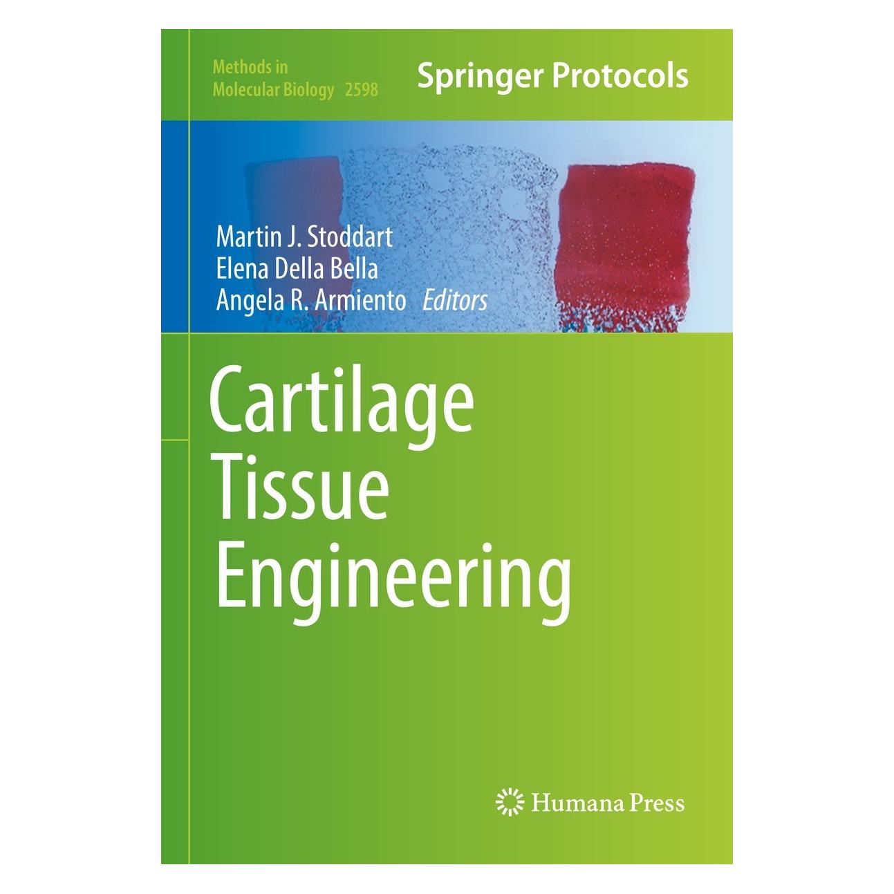Springer Cartilage Tissue Engineering (Englisch, Hardcover, Angela R. Armiento, Elena Della Bella, Martin J. Stoddart) (9781071628386)
