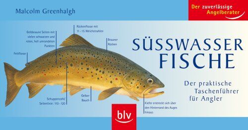 Malcolm Greenhalgh - Süßwasserfische: Der praktische Taschenführer für Angler - Preis vom 16.10.2026 11:41:07 h