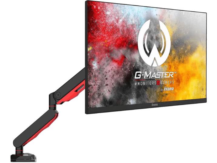 iiyama DSG3001C-R1
