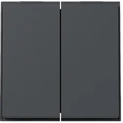 Gira Wippe 2f (WG UP) Anthrazit 329567