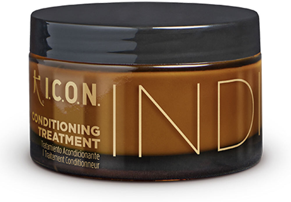 I.c.o.n. India conditioning treatment 170 ml