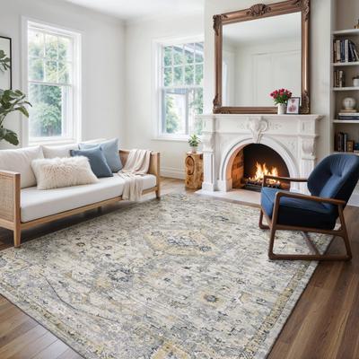 Style Haven Willett Oriental Grey/ Gold Area Rug