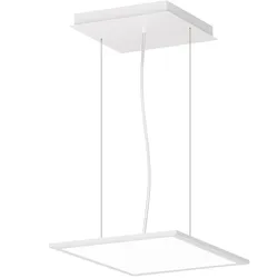 Performance in Light LED-Pendelleuchte 8300291236300
