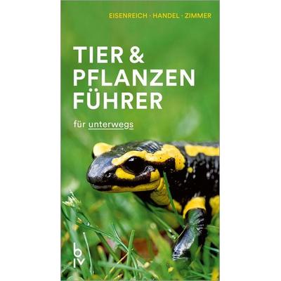 Der BLV Tier & Pflanzenführer, Taschenbuch von Wilhelm Eisenreich,Ute E. Zimmer,Alfred Handel, Blv, 978-3-8354-1808-0