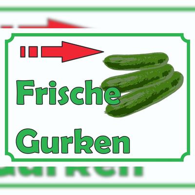 HB-Druck Frische Gurken Verkaufsschild Schild Pfeil rechts A4 (210x297mm)