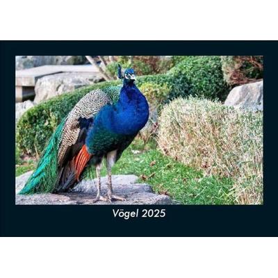 Vögel 2025 Fotokalender DIN A5