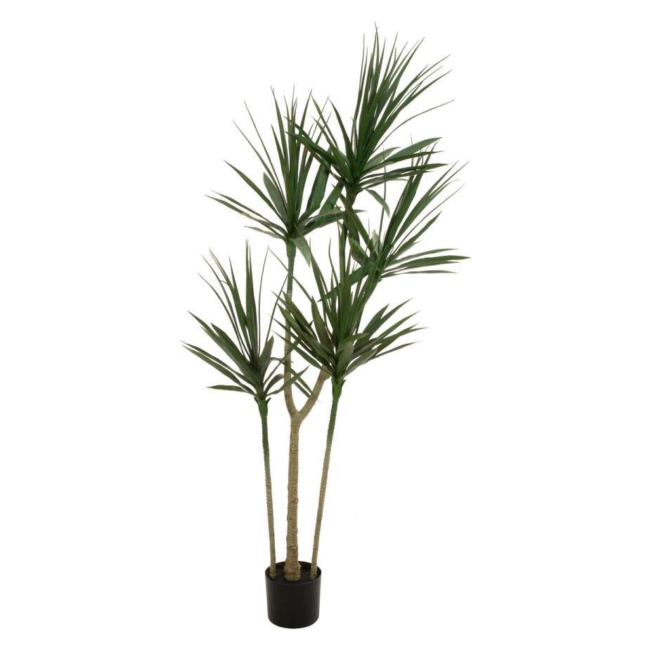 Europalms Dracena (170 cm) (82505799)