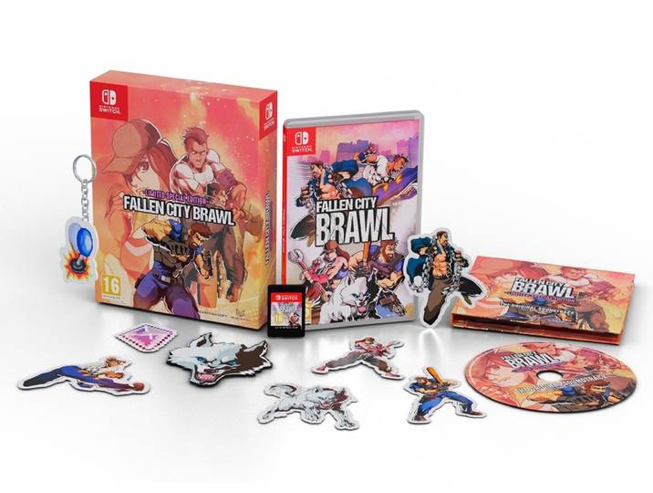 Fallen City Brawl - Special Édition (SWITCH)