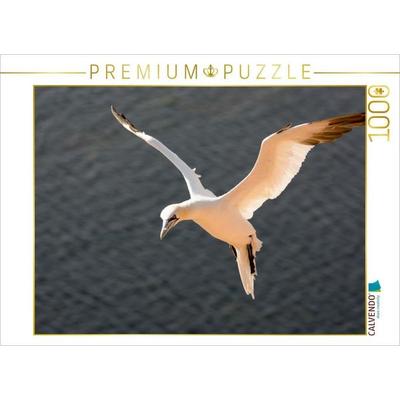 CALVENDO Puzzle Basstölpel im Flug | 1000 Teile Lege-Größe 64 × 48 cm Foto-Puzzle für glückliche Stunden