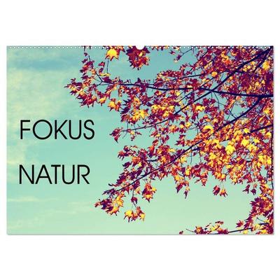 Focus Natur (Wandkalender 2026 DIN A2 quer), CALVENDO Monatskalender