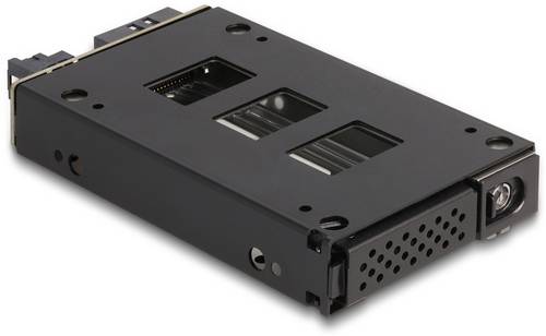 Delock 47005 Festplatten-Wechselrahmen SATA