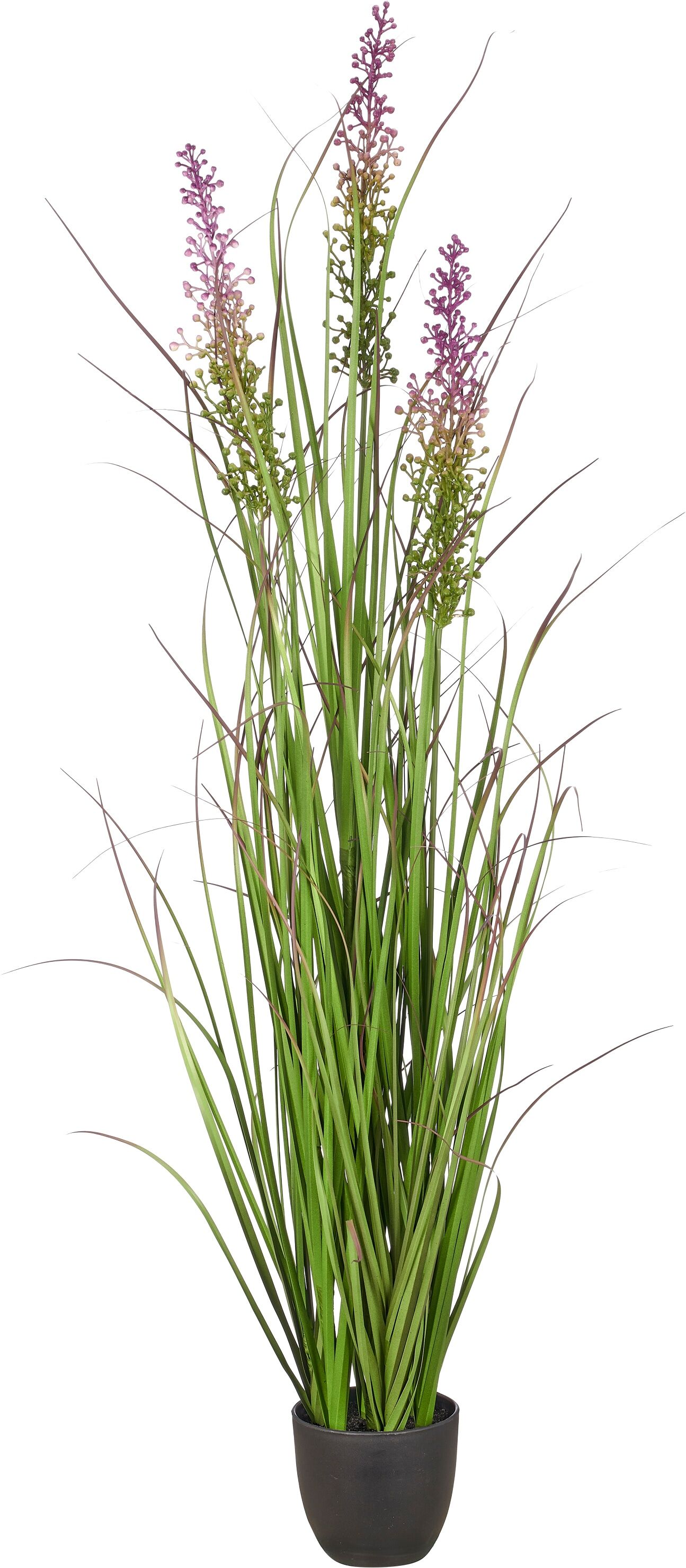 Kunstgras CREATIV GREEN "Grasbusch Pennisetum", grün, H:100cm, Obermaterial: 100% Kunststoff, Kunstpflanzen, mit dekorativen Blüten