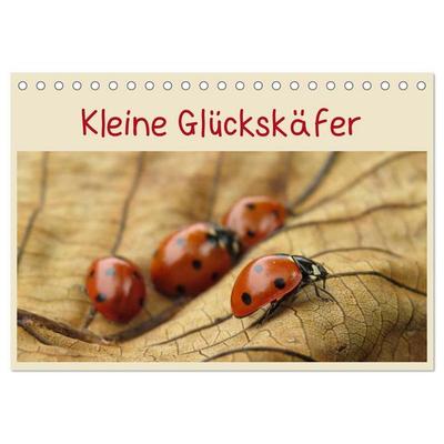 Kleine Glückskäfer (Tischkalender 2027 DIN A5 quer), CALVENDO Monatskalender